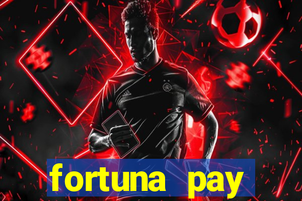 fortuna pay consultoria financeira ltda